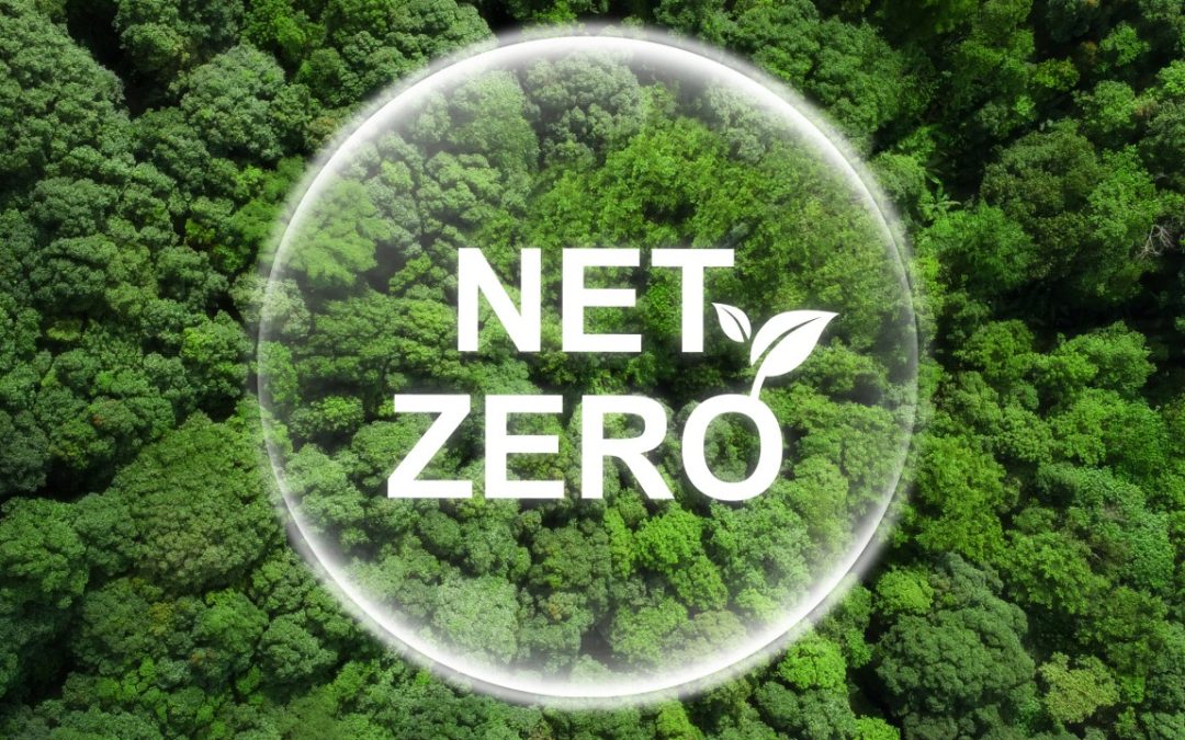 Take Your Business To Net Zero